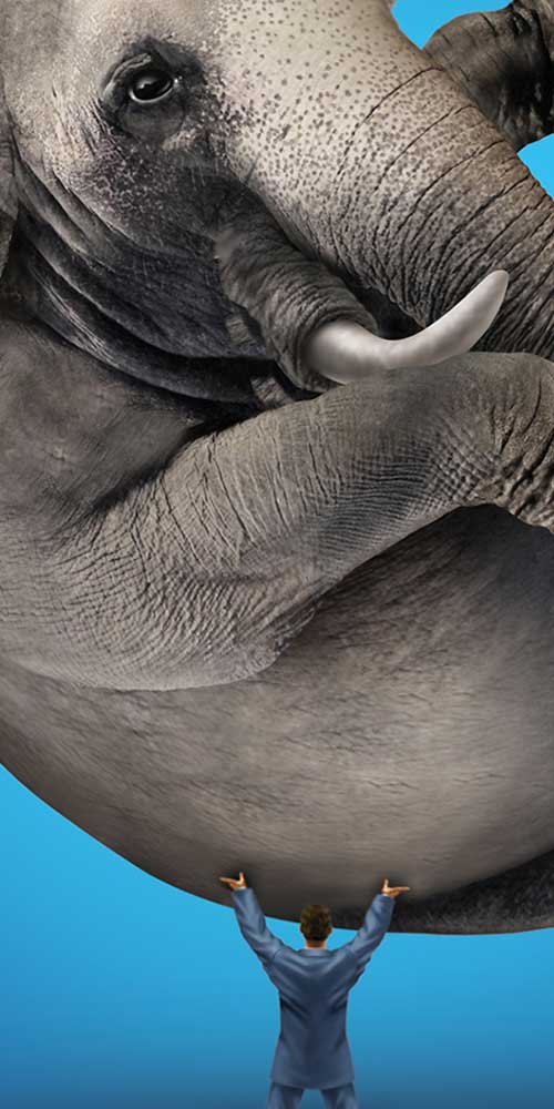 Nome do Trabalho e Cliente aqui